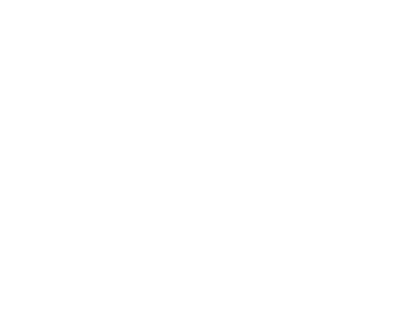 White Wavefront Software logo with transparent background