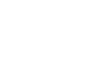 WhiteLogoOnly Wavefront Software Logo